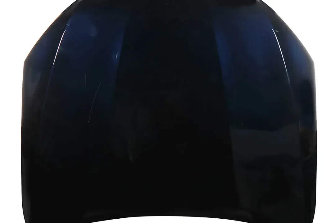 a2538800157 5890   hood1